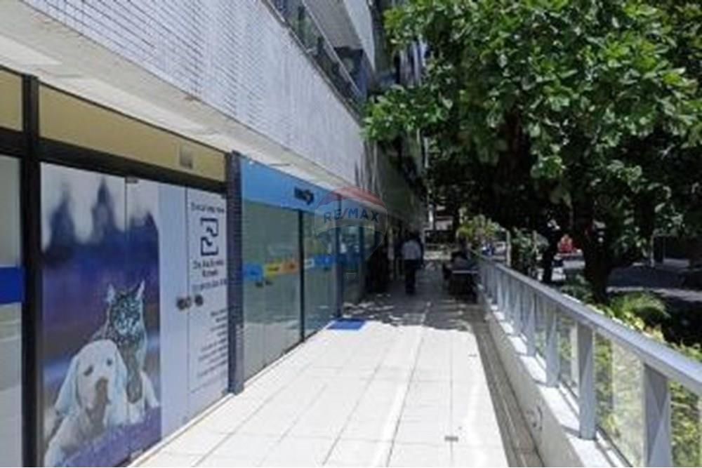 Cobertura - Venda - Salvador , Bahia - 2612553436.jpg - 580541012-39