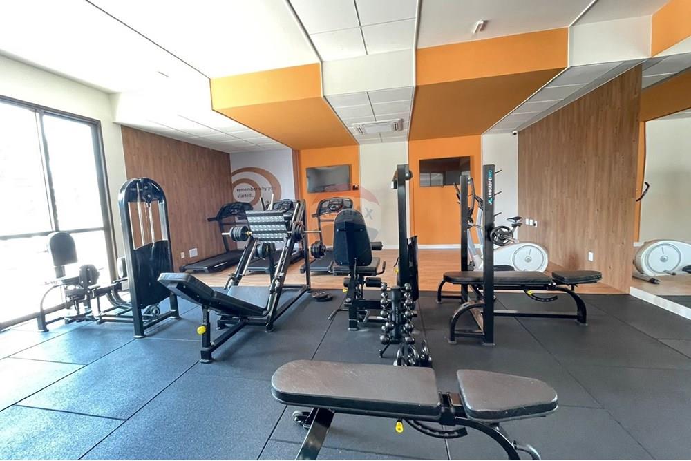 Apartamento - Parque bela vista