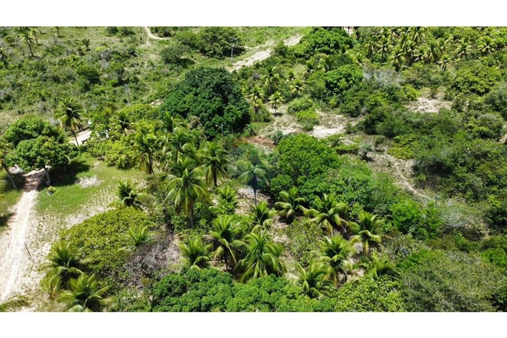 Chácara / Sítio / Fazenda - Alugar - Alagoinhas , Bahia - WhatsApp Image 2026-03-18 at 11.50.04 (2).jpeg - 580701044-78