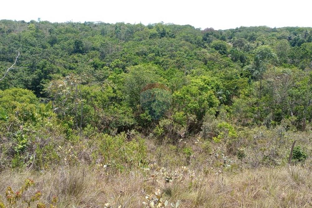 Terreno - Venda - Alagoinhas , Bahia - WhatsApp Image 2025-01-15 at 18.20.06(1).jpeg - 580701006-42
