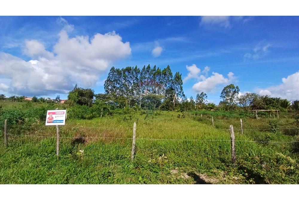 Terreno - Venda - Alagoinhas , Bahia - 49c54a95-8453-4fc0-a82f-62087a2bea96.jpeg - 580701047-26
