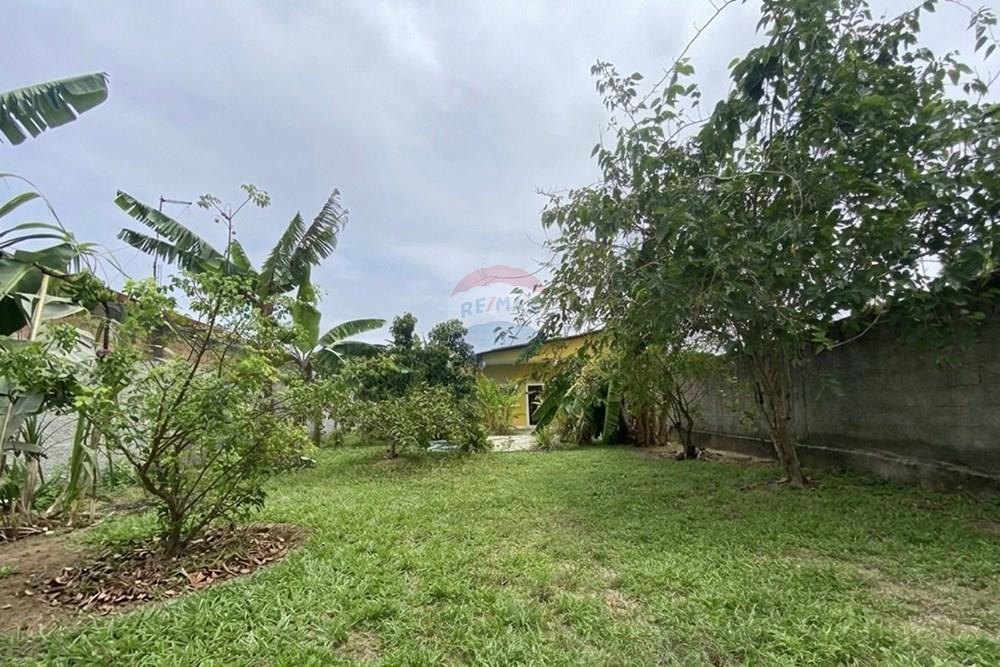 Casa - Alugar - Arraial , Bahia - QUINTAL-1.jpg - 580811024-92