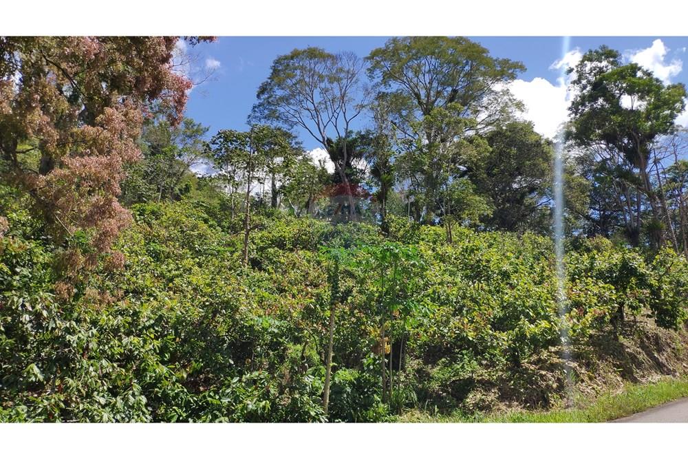 Chácara / Sítio / Fazenda - Venda - Jequié , Bahia - 05.jpg - 580731023-74