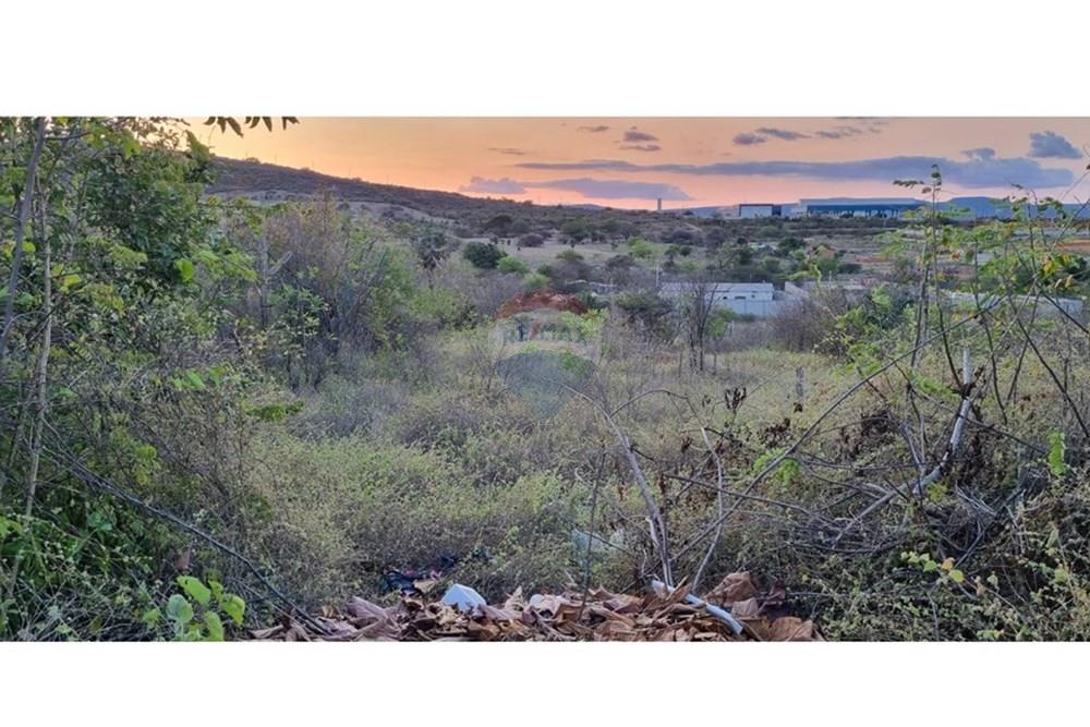 Terreno - Venda - Jacobina , Bahia - WhatsApp Image 2025-09-11 at 15.43.48.jpeg - 580851018-64