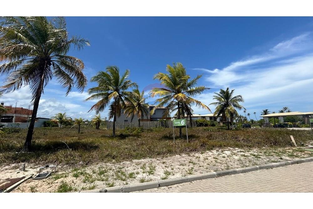 Terreno - Venda - (indefined) , Bahia - IMG_6014.JPG.jpeg - 580911003-3