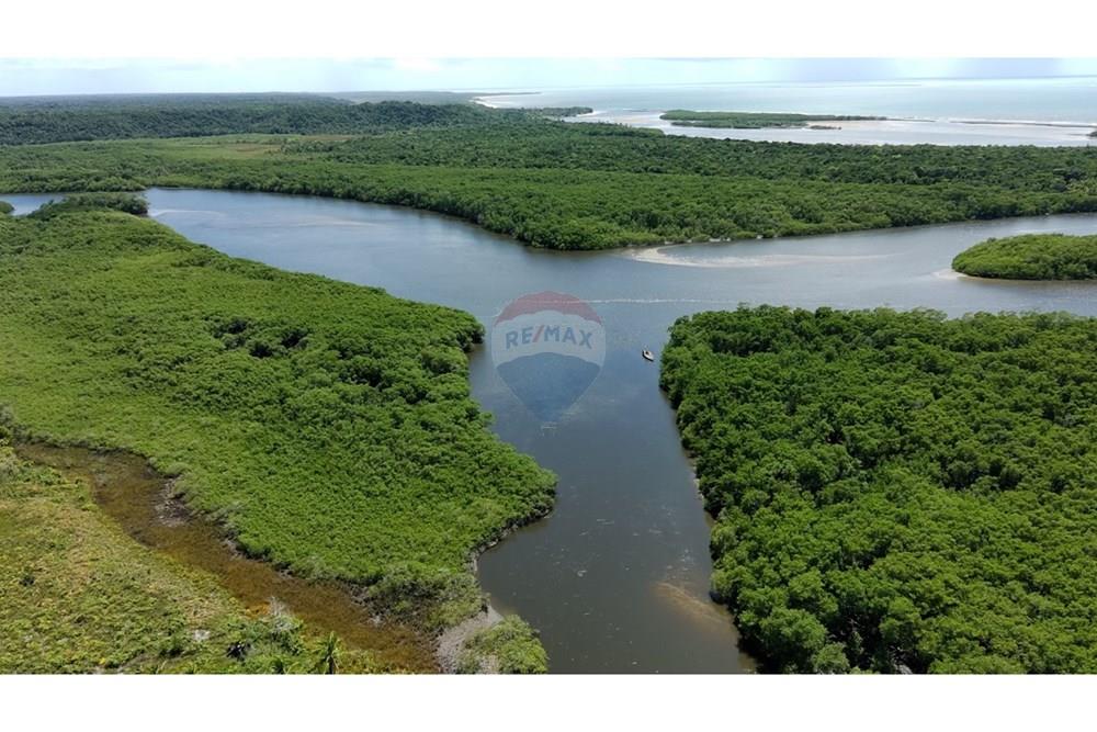 Agro - Venda - Santa Cruz Cabrália , Bahia - IMG-20250309-WA0016.jpg - 580581034-56