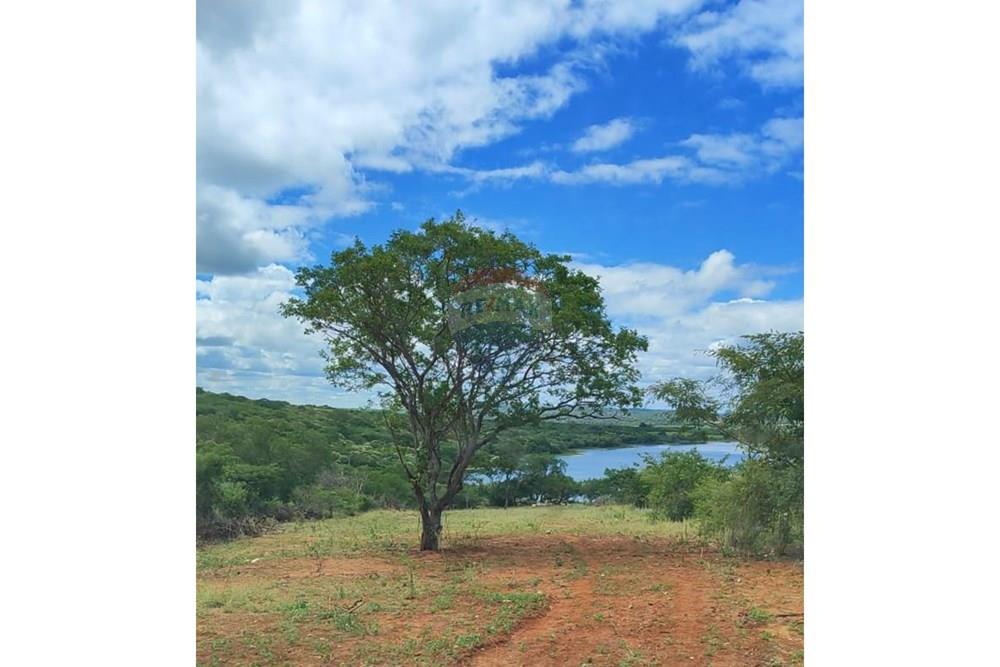 Terreno - Venda - Caraíbas , Bahia - WhatsApp Image 2026-03-25 at 11.35.38.jpeg - 580831011-17