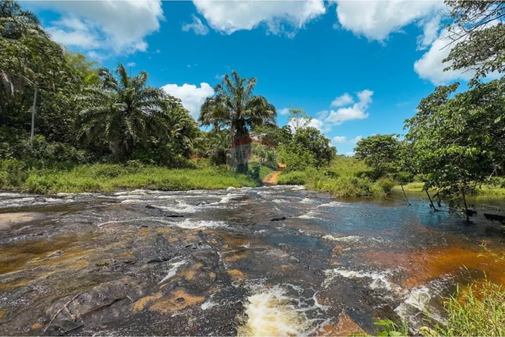 Chácara / Sítio / Fazenda - Venda - Santo Antônio de Jesus , Bahia - IMG_6204.jpg - 580341015-101