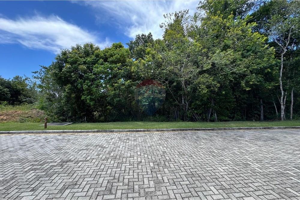 Terreno - Venda - Porto Seguro , Bahia - 318ce321-7e4b-491d-875f-b8a9b892040a.jpeg - 580581002-140
