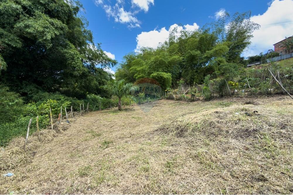 Terreno - Venda - Santo Antônio de Jesus , Bahia - IMG_0449.jpg - 580341046-28