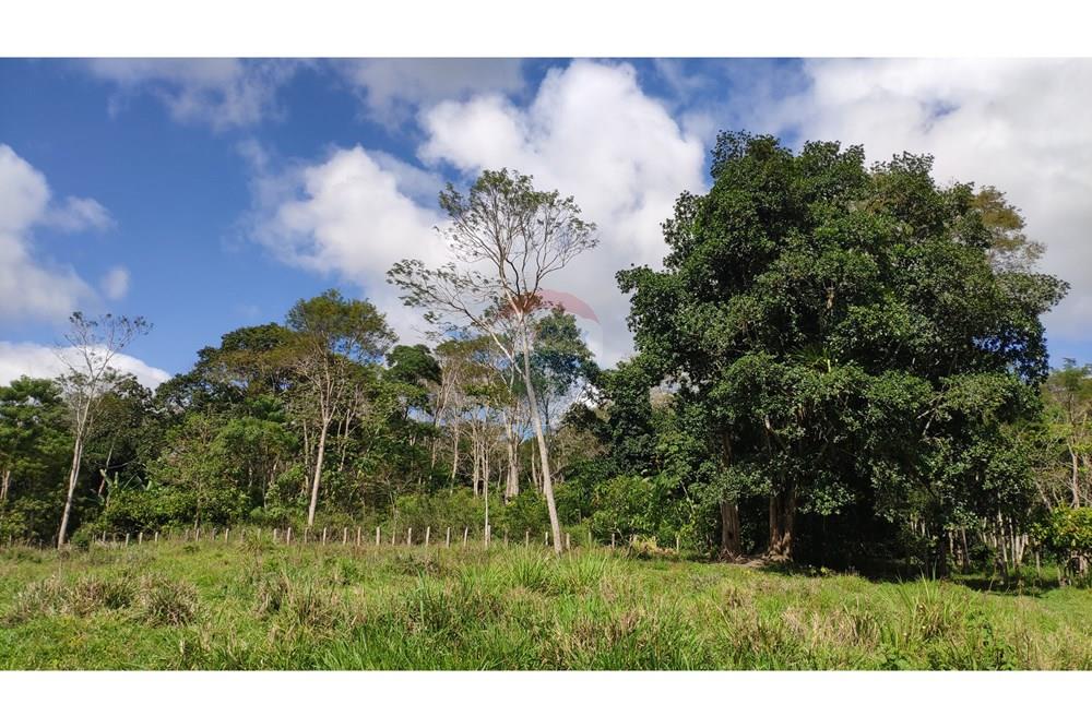 Chácara / Sítio / Fazenda - Venda - Jequié , Bahia - 30.jpg - 580731023-74