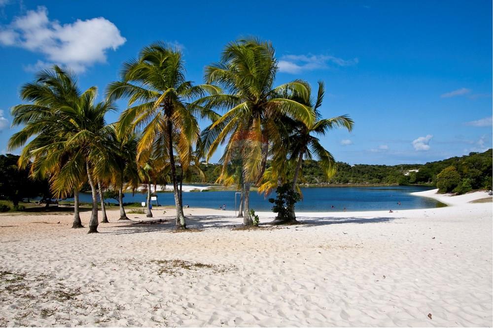 Apartamento - Venda - Salvador , Bahia - Coqueiros_no_Abaeté.jpg - 580421011-997