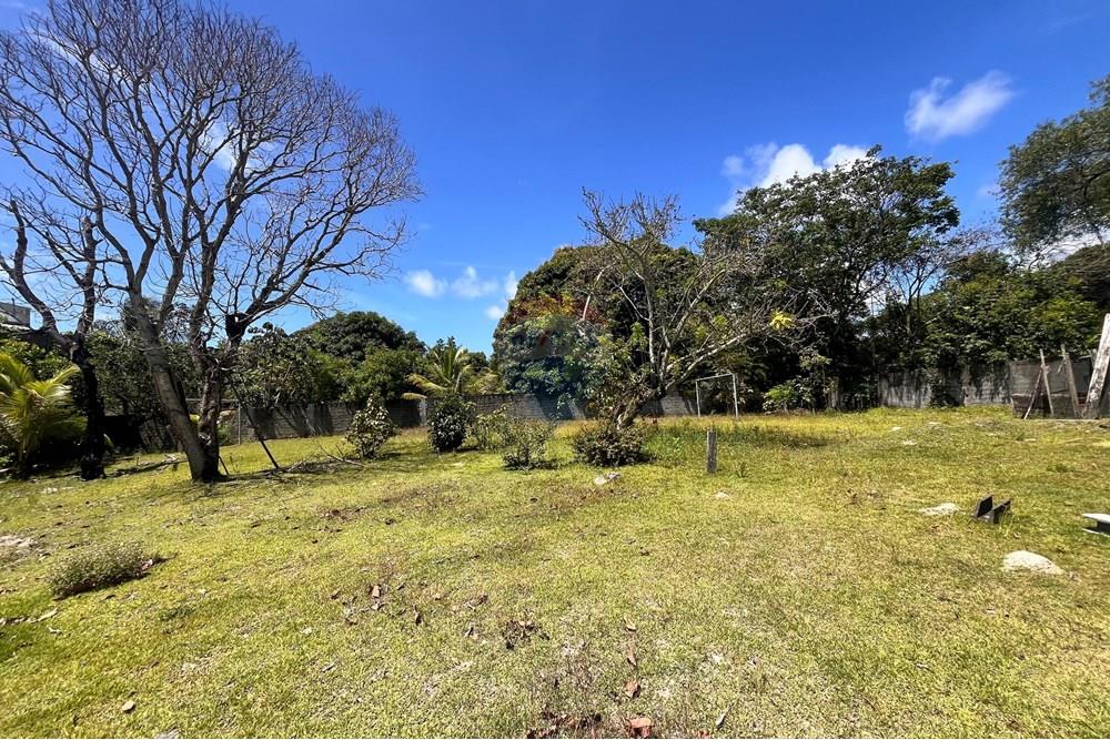 Chácara / Sítio / Fazenda - Venda - Camaçari , Bahia - WhatsApp Image 2025-11-18 at 17.19.35 (3).jpeg - 580491009-102