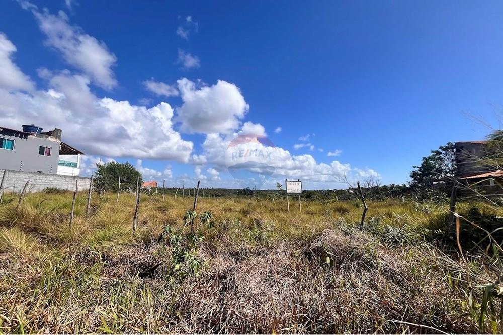 Terreno - Venda - Camaçari , Bahia - IMG_8348.jpg - 580491009-110