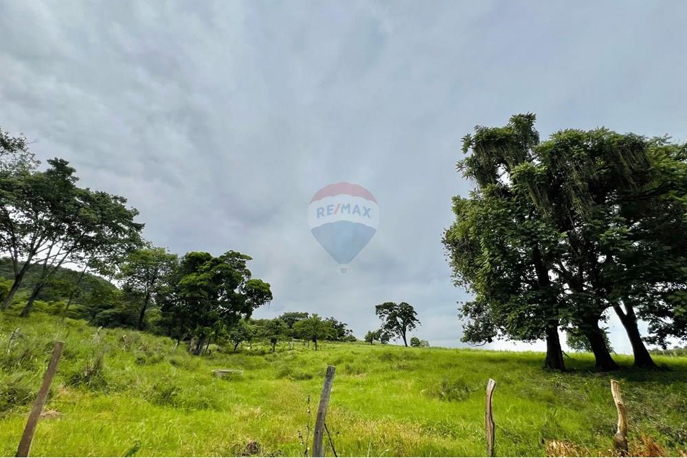 Chácara / Sítio / Fazenda - Venda - Barreiras , Bahia - WhatsApp Image 2025-03-11 at 17.53.45 (1).jpeg - 580651065-24