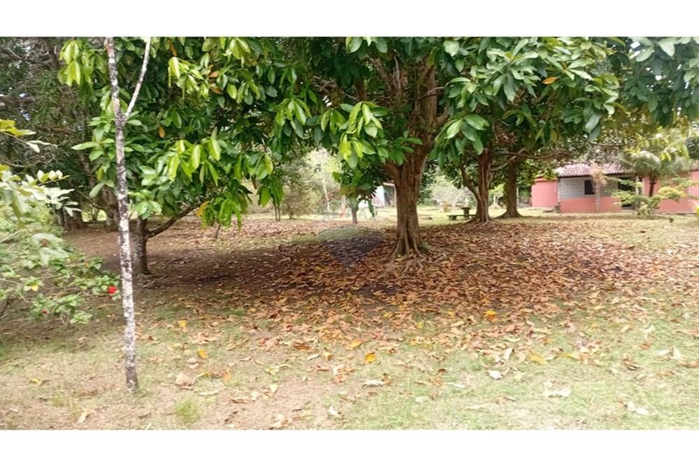 Chácara / Sítio / Fazenda - Alugar - Camaçari , Bahia - WhatsApp Image 2025-10-15 at 14.32.53 (1).jpeg - 580331013-753