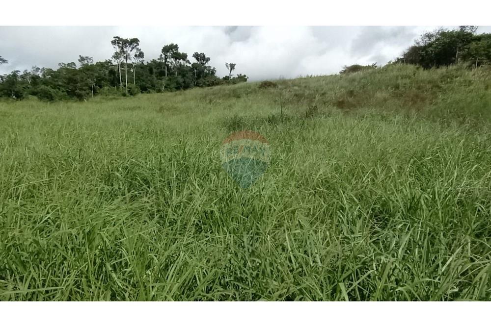 Chácara / Sítio / Fazenda - Venda - Jequié , Bahia - IMG-20240614-WA0269.jpg - 580731023-47