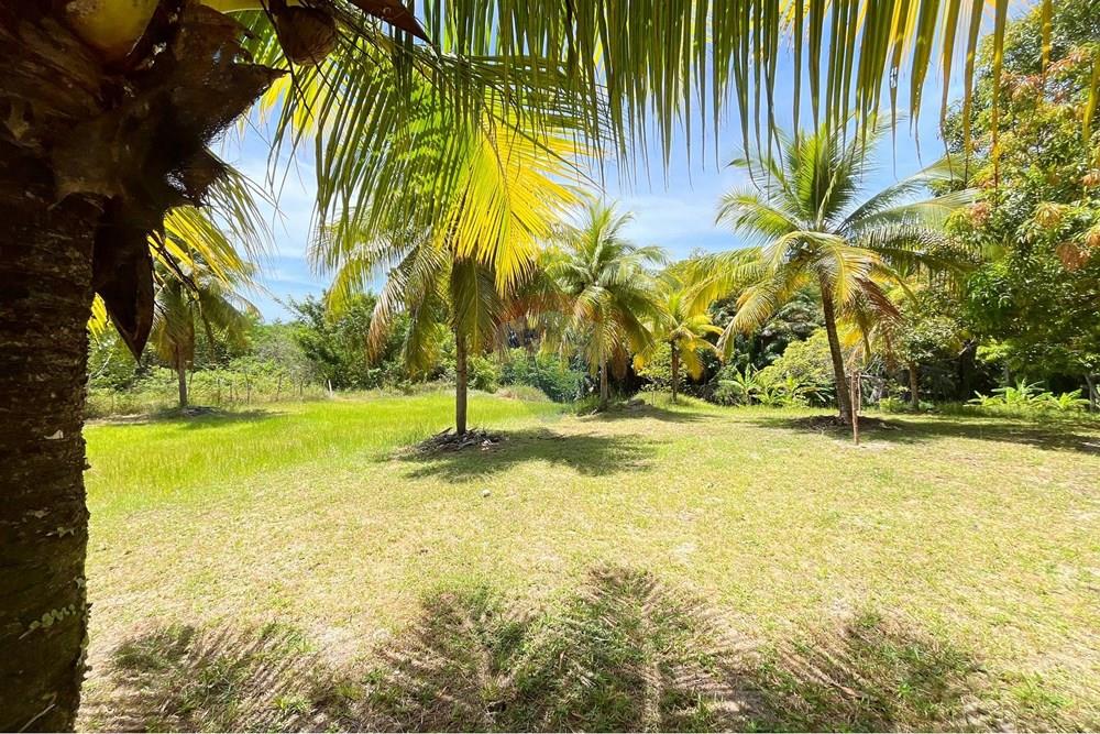 Terreno - Venda - Camaçari , Bahia - IMG_4745.jpg - 580491001-74