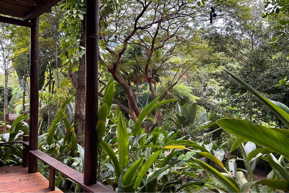 Casa - Venda - Porto Seguro , Bahia - WhatsApp Image 2026-04-03 at 18.46.26.jpeg - 580581042-4