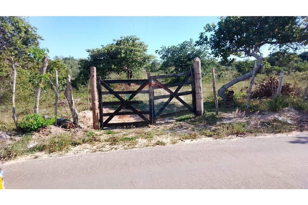 Chácara / Sítio / Fazenda - Venda - Alagoinhas , Bahia - WhatsApp Image 2025-11-09 at 19.23.23 (1).jpeg - 580701044-55