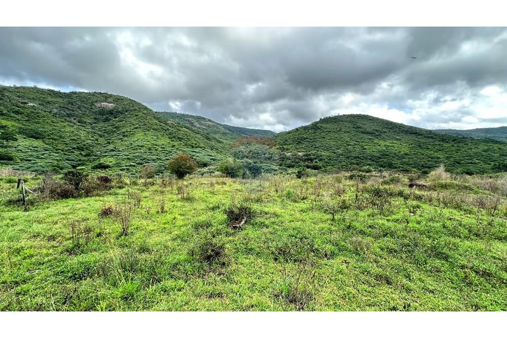 Chácara / Sítio / Fazenda - Venda - Jequié , Bahia - image00017.jpeg - 580731023-47