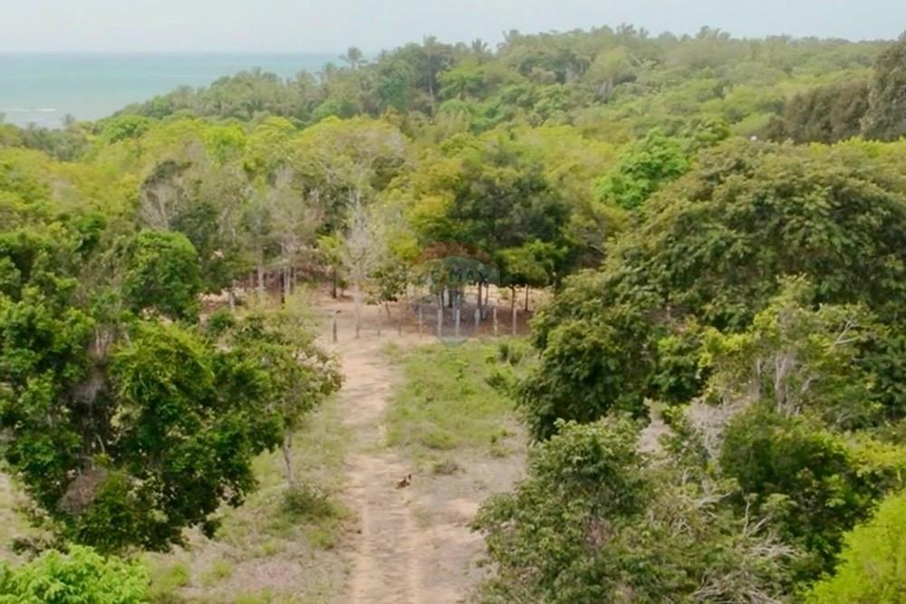 Terreno - Venda - Trancoso , Bahia - WhatsApp Image 2026-01-14 at 08.41.58 (11).jpeg - 580581012-109