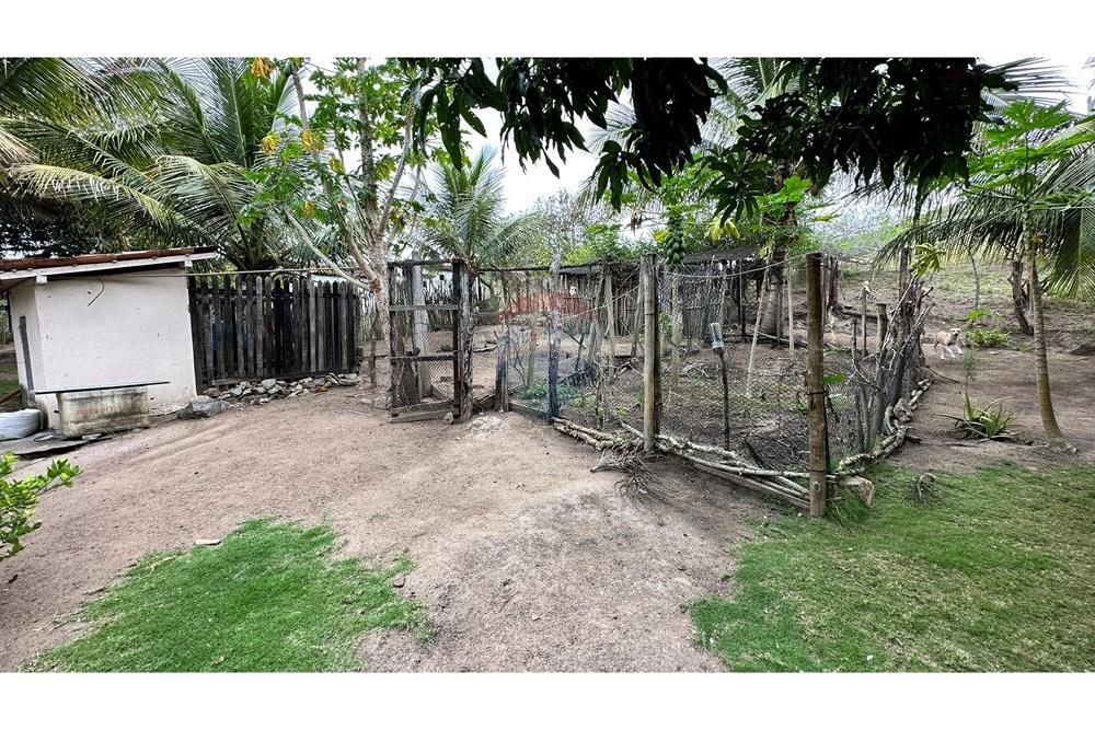 Chácara / Sítio / Fazenda - Venda - Jequié , Bahia - image00033.jpeg - 580731023-51