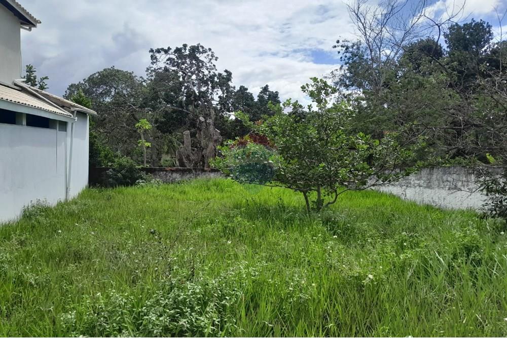 Terreno - Venda - Camaçari , Bahia - pjacuipe.jpeg - 580541020-54