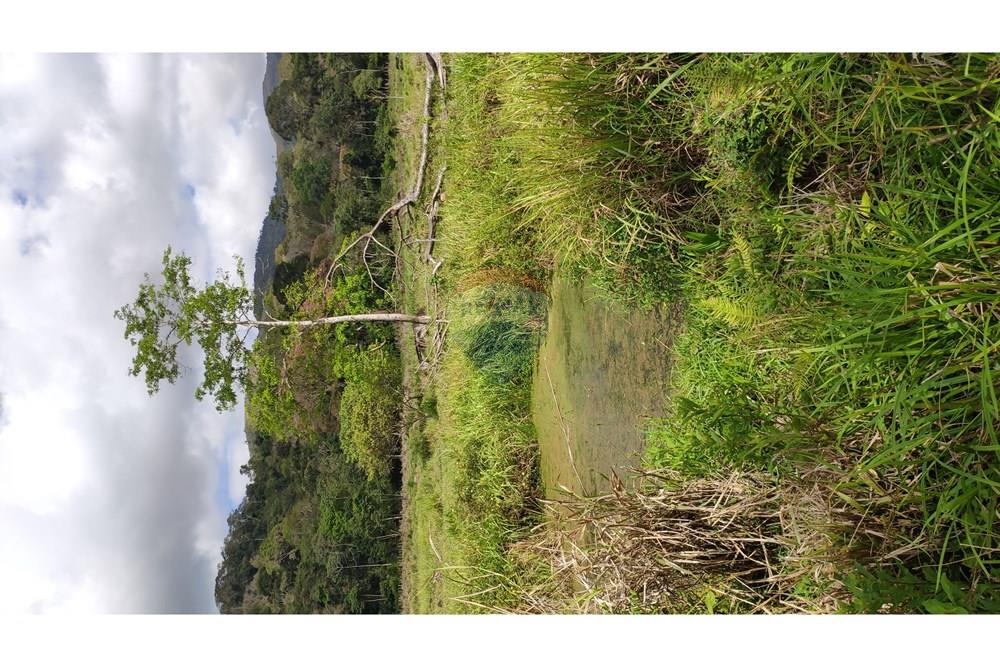 Chácara / Sítio / Fazenda - Venda - Jequié , Bahia - 47.jpg - 580731023-74