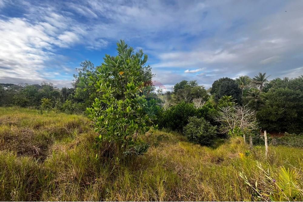 Chácara / Sítio / Fazenda - Venda - Prado , Bahia - Imagem do WhatsApp de 2025-08-25 à(s) 11.02.07_593008b9.jpg - 580751013-70