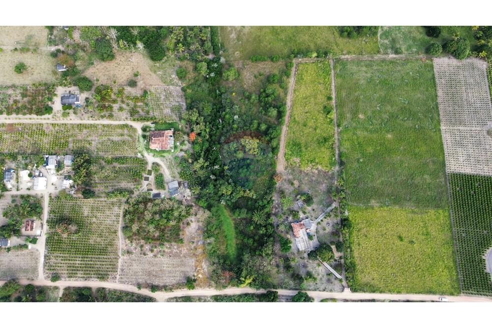 Chácara / Sítio / Fazenda - Venda - Prado , Bahia - Imagem do WhatsApp de 2025-08-25 à(s) 11.02.07_7b3f3432.jpg - 580751013-70