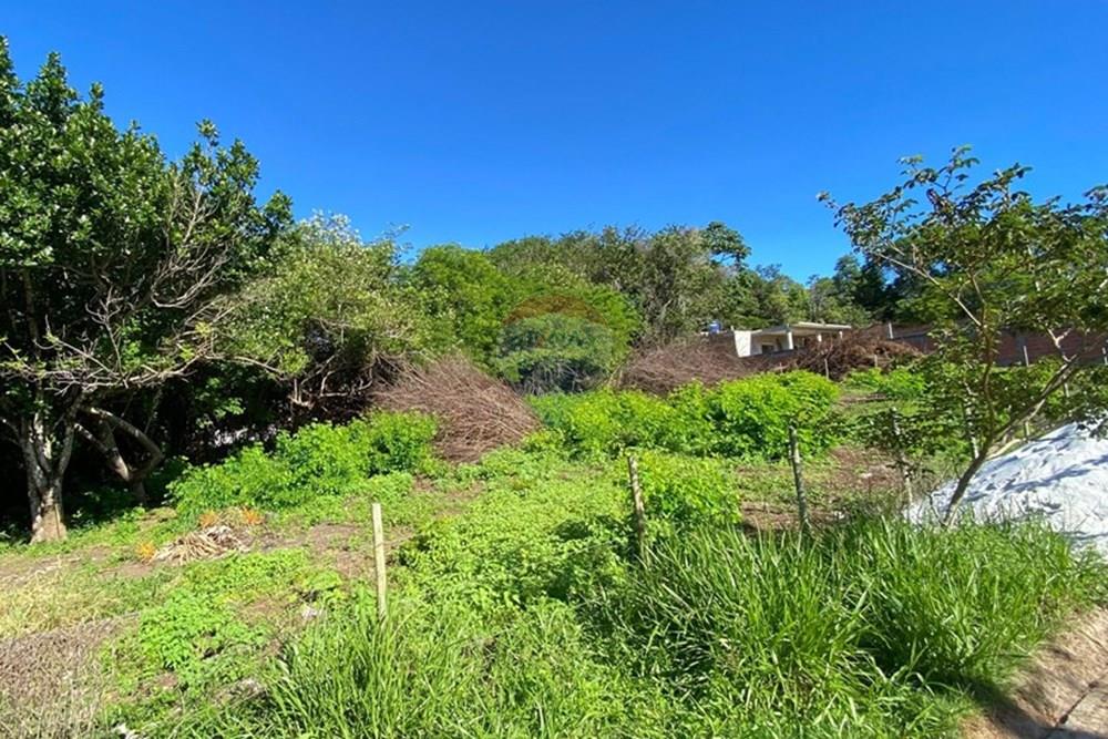 Terreno - Venda - Mata de São João , Bahia - ae0ec568-3ad1-4d62-b379-0e598a9e3cc8.jpg - 580601014-63