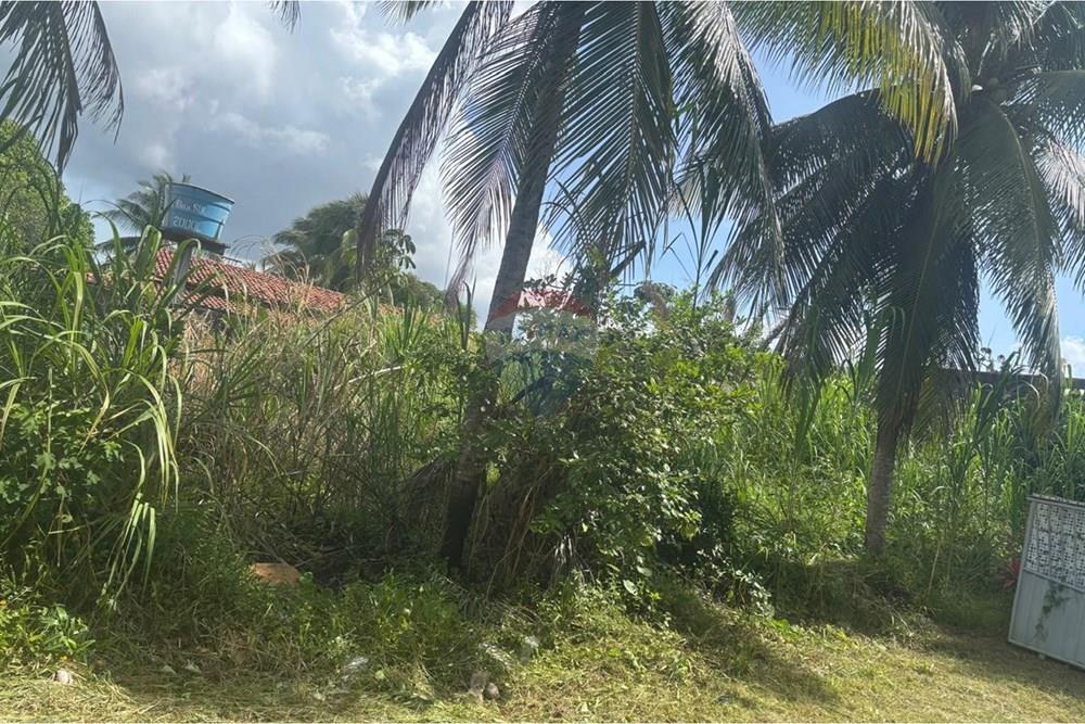 Terreno - Venda - Vera Cruz , Bahia - WhatsApp Image 2026-02-26 at 12.31.24.jpeg - 580551067-117