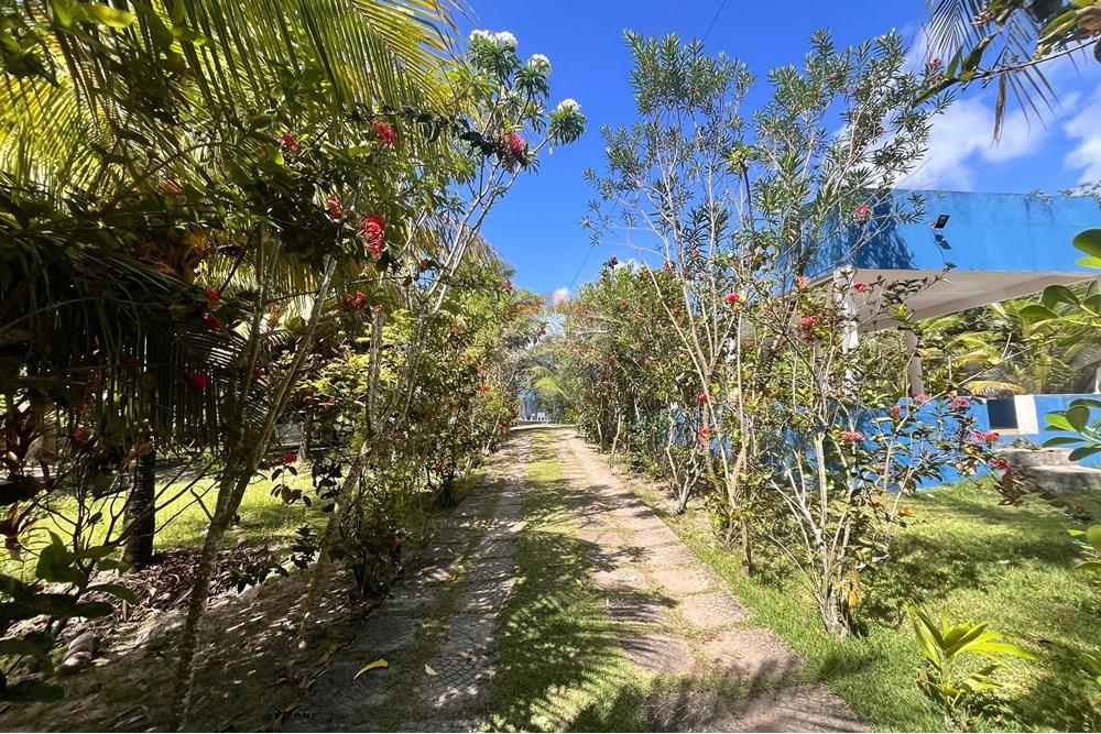 Chácara / Sítio / Fazenda - Venda - Camaçari , Bahia - WhatsApp Image 2025-11-18 at 17.19.26.jpeg - 580491009-102