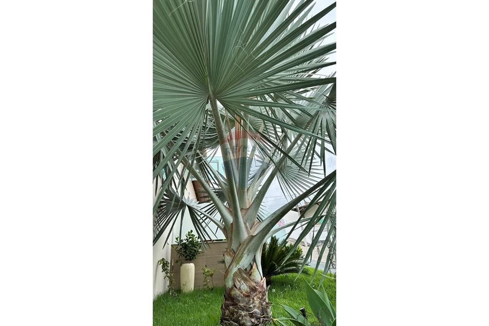 Casa - Venda - Jequié , Bahia - IMG_1607.JPEG - 580731023-201