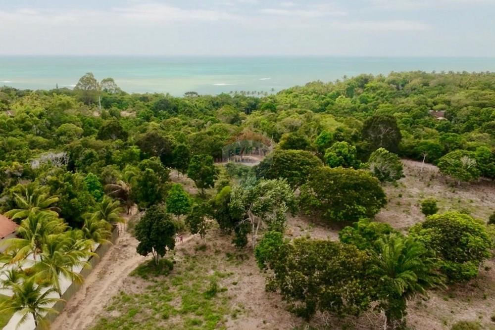 Terreno - Venda - Trancoso , Bahia - WhatsApp Image 2026-01-14 at 08.41.58 (10).jpeg - 580581012-109
