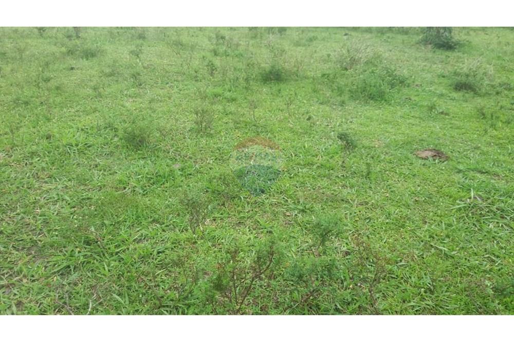 Chácara / Sítio / Fazenda - Venda - Caravelas , Bahia - WhatsApp Image 2025-07-11 at 09.20.10 (1).jpeg - 580411006-269