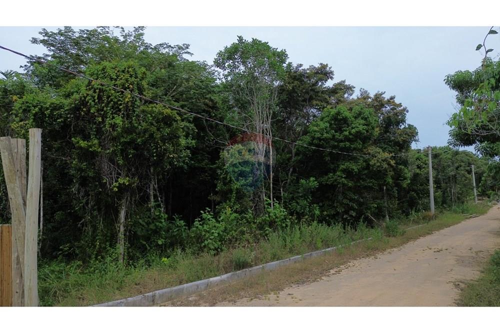 Terreno - Venda - Porto Seguro , Bahia - IMG-20250109-WA0059.jpg - 580581034-23