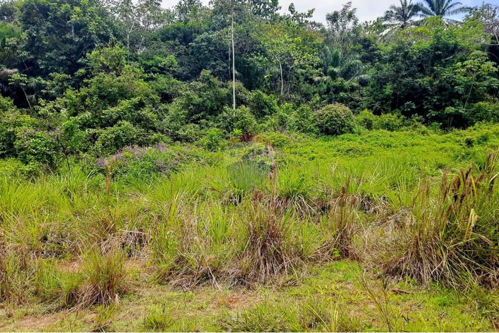 Terreno - Venda - Vera Cruz , Bahia - WhatsApp Image 2025-11-06 at 07.32.59 (1).jpeg - 580561051-32