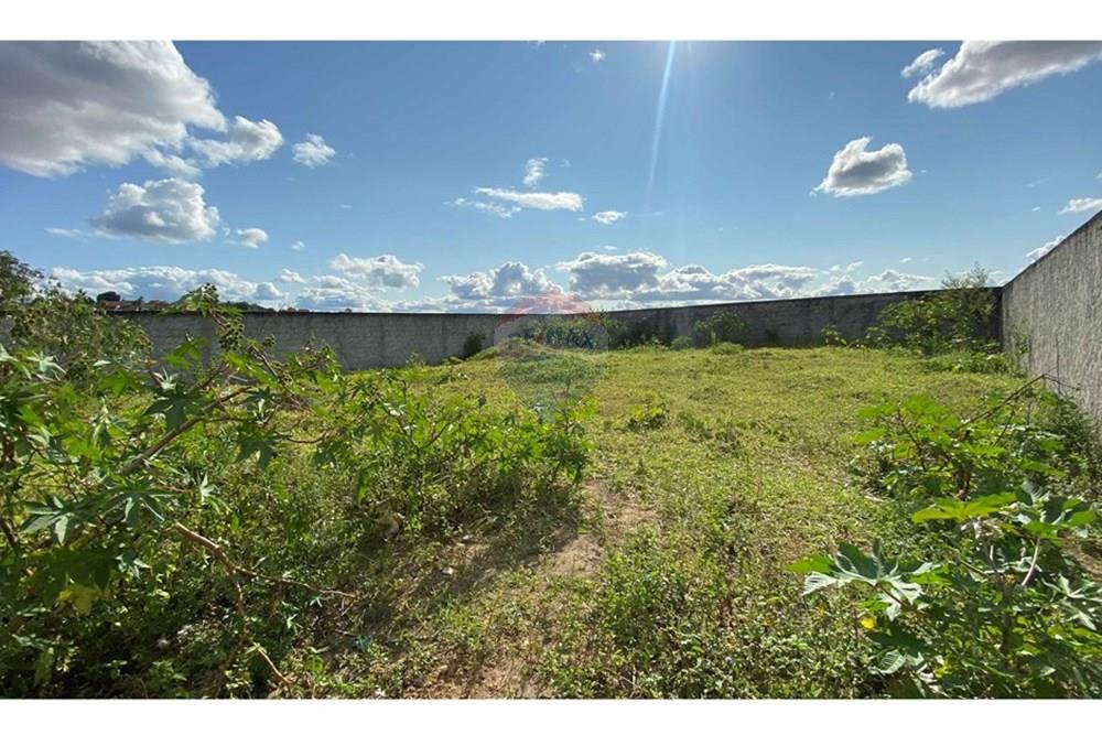 Terreno - Venda - Alagoinhas , Bahia - IMG_6722.jpg - 580701034-52