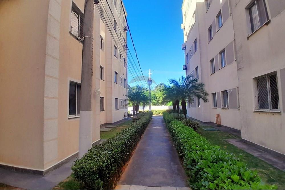 Apartamento - Centro