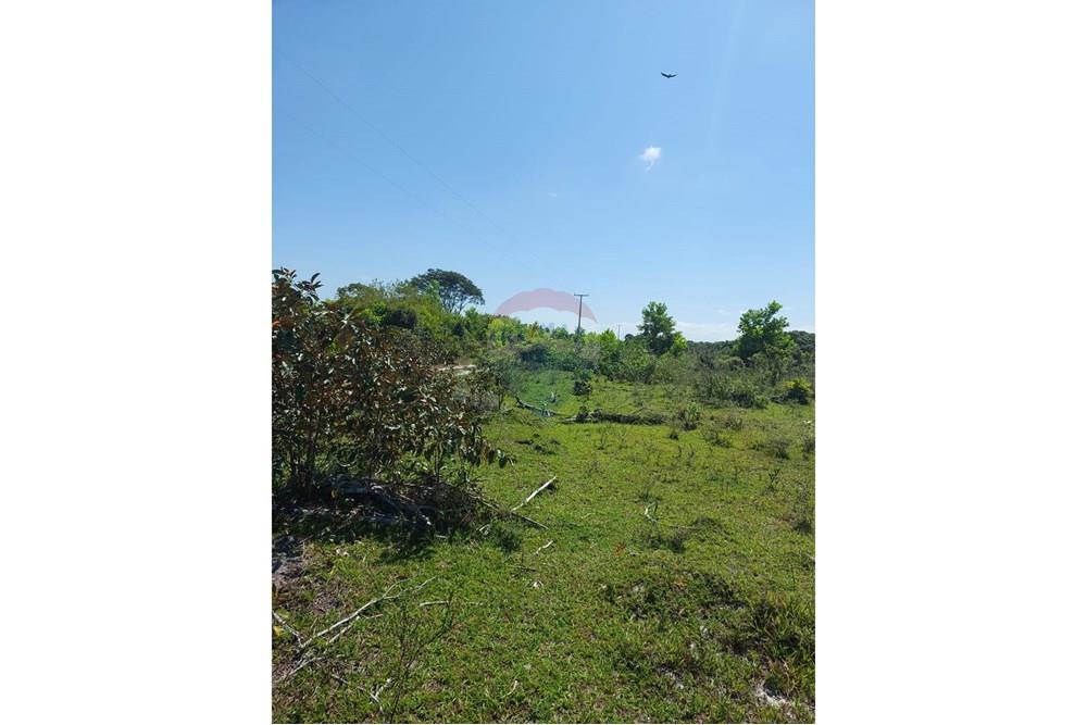 Chácara / Sítio / Fazenda - Venda - Caravelas , Bahia - WhatsApp Image 2025-07-11 at 09.20.08.jpeg - 580411006-269