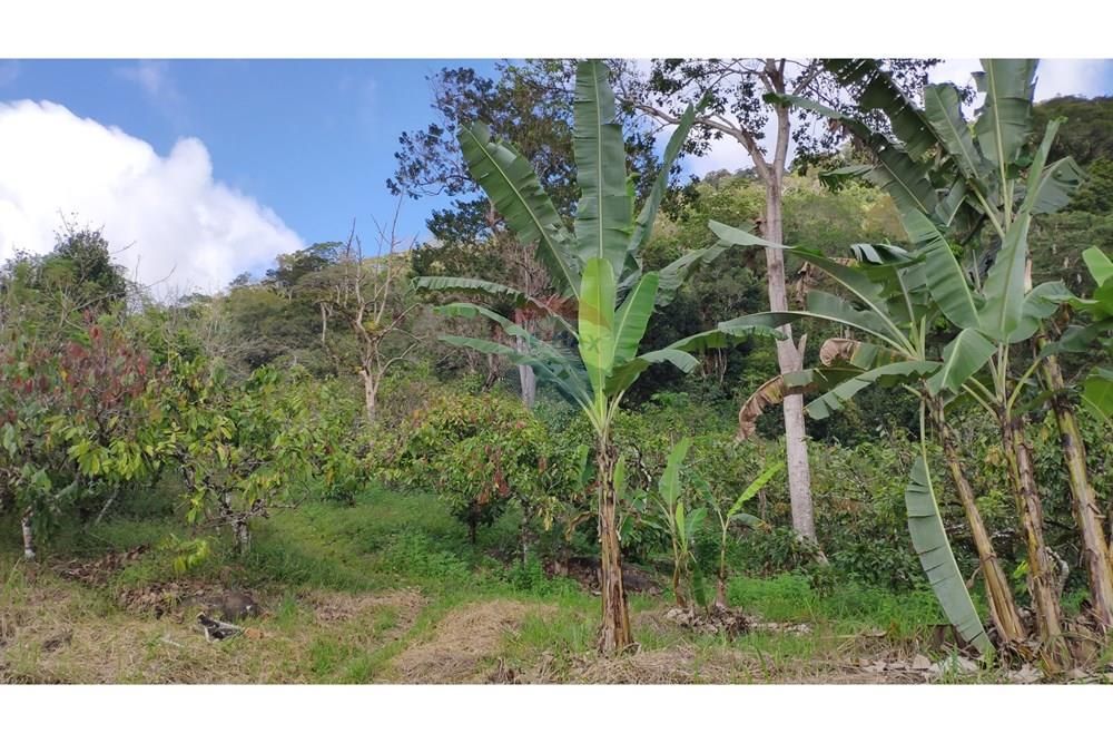 Chácara / Sítio / Fazenda - Venda - Jequié , Bahia - 17.jpg - 580731023-74