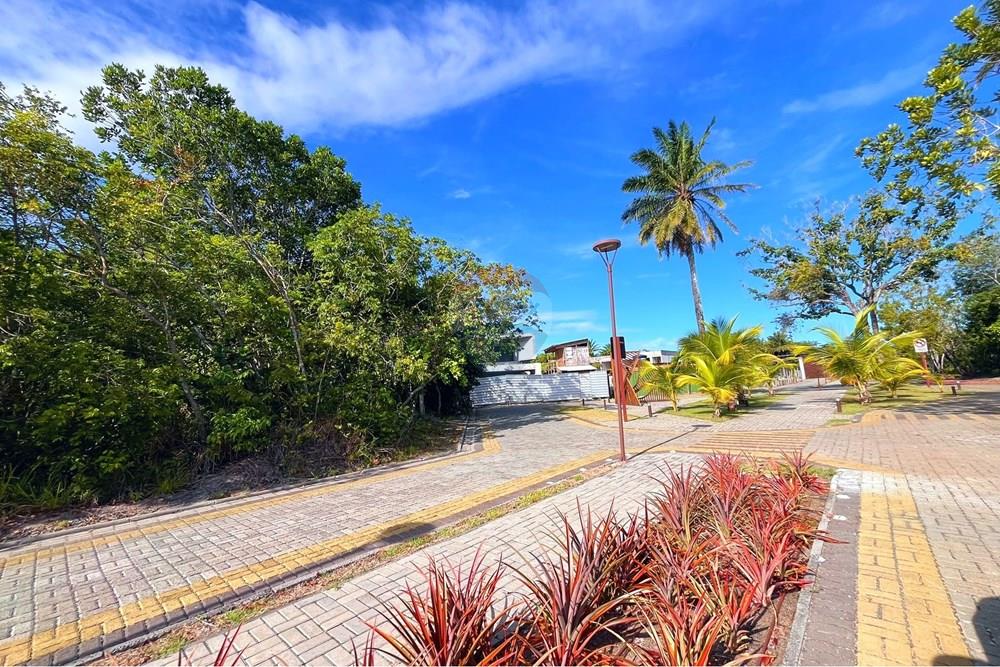 Terreno - Venda - Camaçari , Bahia - IMG_6400.jpg - 580491061-1