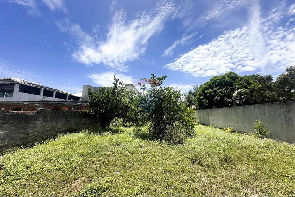 Terreno - Venda - Camaçari , Bahia - IMG_8353_DNG.jpg - 580491049-24