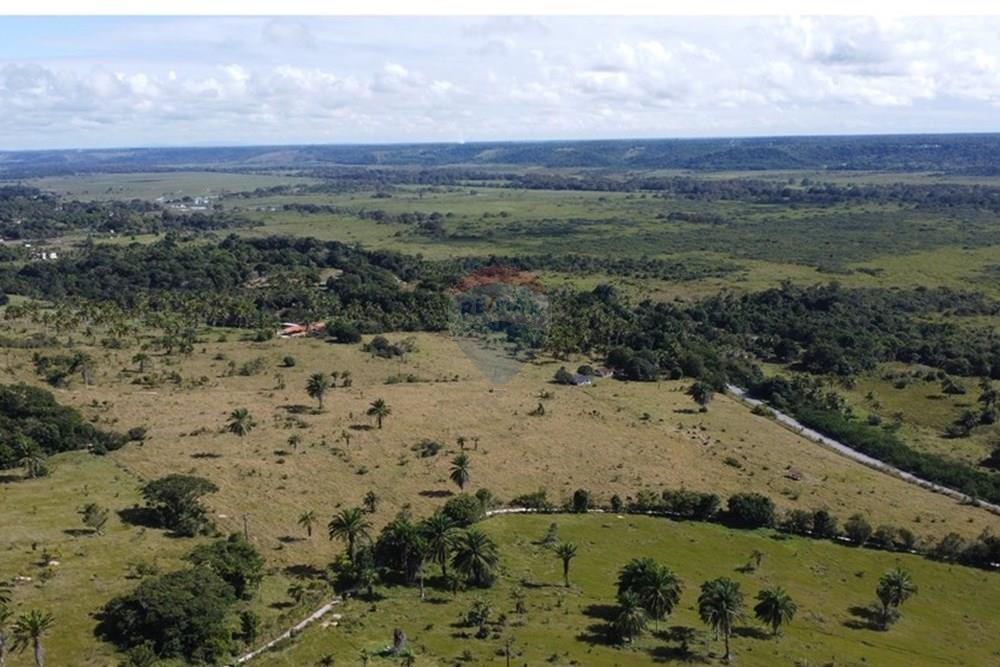 Chácara / Sítio / Fazenda - Venda - Porto Seguro , Bahia - DJI_0601.JPG - 580531040-12
