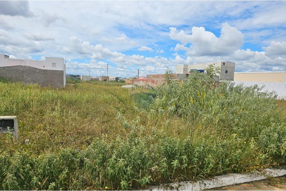 Terreno - Venda - Vitória da Conquista , Bahia - IMAGEM TERRENO 02.jpg - 580831034-20