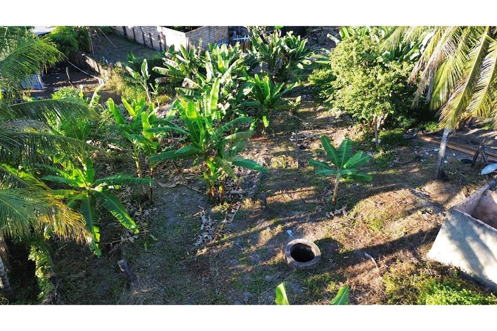 Terreno - Venda - Itamaraju , Bahia - IMG_1204.JPG - 580751013-53