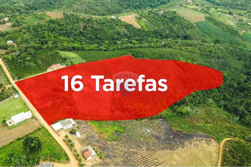 Chácara / Sítio / Fazenda - Venda - Santo Antônio de Jesus , Bahia - DJI_0110.jpg - 580341015-102