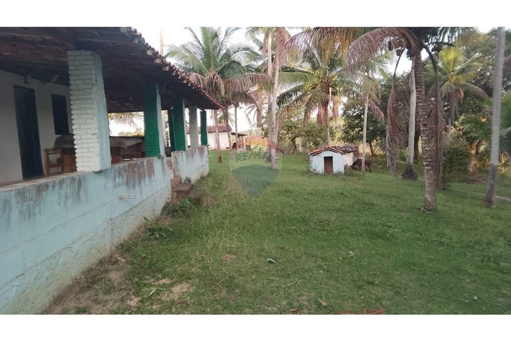 Chácara / Sítio / Fazenda - Venda - Alagoinhas , Bahia - WhatsApp Image 2025-11-09 at 19.24.43.jpeg - 580701044-55